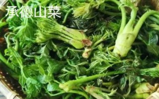 河北承德县的特产,盛产杏仁