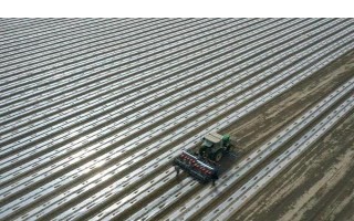 先进的农用薄膜有哪些，有轻薄型薄膜、多用途薄膜等