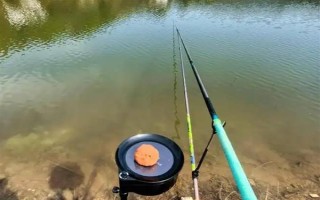 2.0号子线可以钓多重的鱼，确保质量能应付10斤以内的鱼类