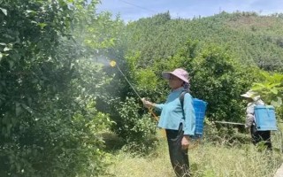 矿物油农药的使用方法，针对不同作物的使用方法不同