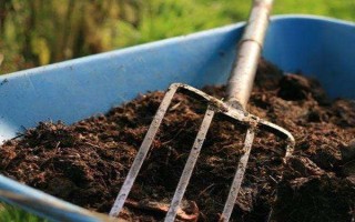 茶叶的用途，可饮用还可做花肥等