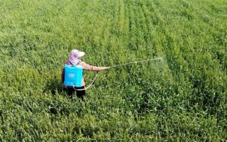 多菌灵有什么特点,具有内吸治疗和保护作用
