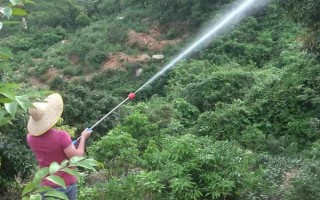 对果树使用农药的原则，选择正确的药物才能起到防效