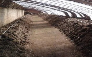 蚯蚓没有销路如何解决，卖给渔具店是不错的选择