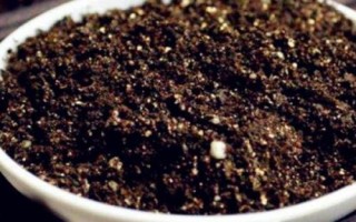 怎么在阳台上栽种大蒜，将蒜瓣放在盆土中并覆土浇水即可