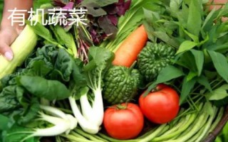 有机蔬菜与绿色蔬菜的区别，前者禁用化学物质、后者按标准体系生产