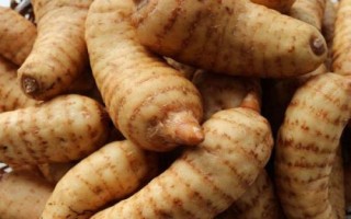 山村适合种植，可以选择种植天麻、百合、核桃等