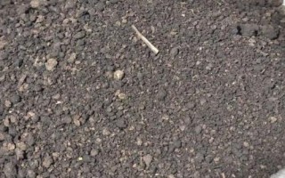 如何快速发酵鸡粪，发酵过程中可添加高碳物料