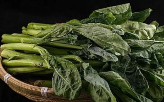 芥兰有哪些品种，按颜色可分为白花芥兰、黄花芥兰