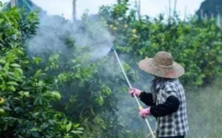 啶虫哒螨灵有什么特点,毒性低、根部渗透性良好