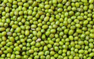 哪些农作物在秋季成熟，包括花生、玉米、西红柿等品种