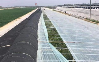 大棚的放风方法，根据天气状况控制放风口的宽度