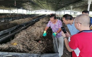 蚯蚓没有销路如何解决，卖给渔具店是不错的选择