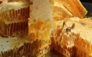 枇杷蜜是什么蜜,是我国南方地区出产的稀有蜜种