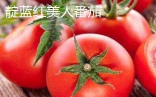 优质高产的番茄品种,包括粉果将军、大红明星等种类