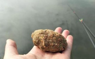 野钓鲤鱼有哪些饵料比较好用,蚯蚓、玉米、红薯均为不错的选择