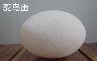 蛋的品种，最常见的种类是鸡蛋