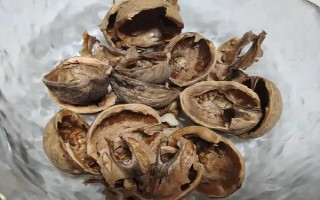 怎么把水果皮做成花肥,洗净切碎后装入容器中发酵