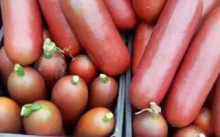 香茹蜜的价格，是很热销的水果