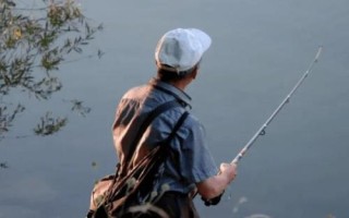 如何垂钓淡水白鲳才能快速上鱼,可将腥饵泡开后投入窝点诱鱼