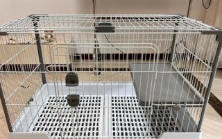 兔子怎么养殖，要不定期的给兔舍进行消毒