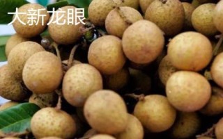 广西崇左市的特色水果，扶绥甘蔗、上龙西瓜都很有名气