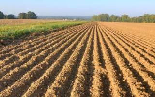 基本农田和一般耕地的意思，前者是指被总体规划不得占用的耕地、后者是指经常耕耘的土地