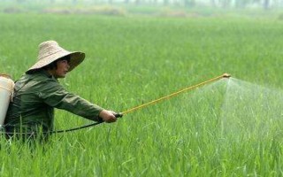 杀虫单的使用注意事项，不得与碱性农药等物质混用