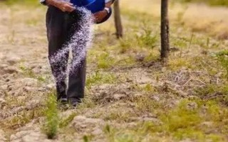 氮肥利用率是多少，利用率为25%-40%