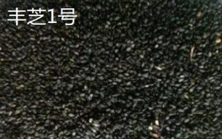 哪个品种的芝麻香,根据环境气候选择品种