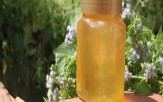 百花蜜和枣花蜜的区别，色泽和口感均不同