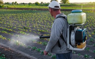 菌核净的作用，可有效防治瓜果蔬菜的灰霉病、菌核病等