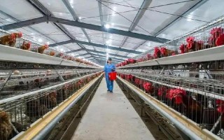 畜禽标识和养殖档案管理办法的内容，在我国境内从事相关生产等活动都要遵守