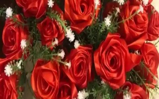 圣诞节适合送哪些花卉,玫瑰花、百合花、郁金香等品种可以考虑