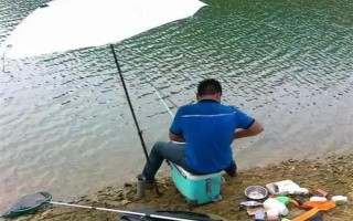 2.0号子线可以钓多重的鱼，确保质量能应付10斤以内的鱼类