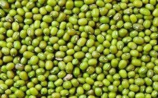 绿豆有哪几种颜色，有绿、黄、褐、黑及青绿五种颜色