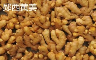 湖北郧西县有哪些特产，郧西野香椿是必选项