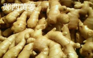 湖北襄阳能够带走的特产,包括襄阳黄酒、襄冬麦、宜城板鸭等种类
