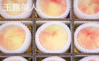 常见的桃子品种,品种较多各具特色