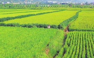 太原和晋中的农作物有哪些特点，基本上都是一年一熟