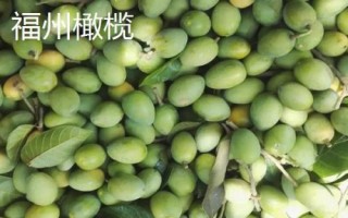 福建省福州市的水果特产有哪些,包括青山龙眼、一都枇杷、福州橄榄等种类