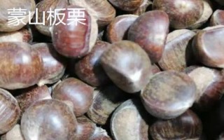 山东烟台市的特产,烟台海参闻名海内外