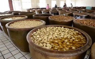 乡镇赚钱的行业有哪些，推荐缝纫店、管道工等