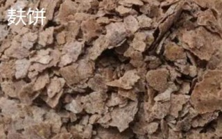 用什么料打窝能吸引较多的大鲫鱼,酒米对于鲫鱼具有较强的引诱力