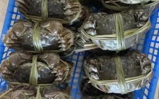 澄阳湖大闸蟹的价格,实际售价会受到规格的影响