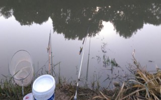 夏季野钓鲫鱼如何调漂，一般选择钓钝