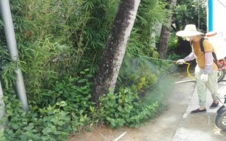 金皮树和荨麻的区别是什么,外形、分布均不同