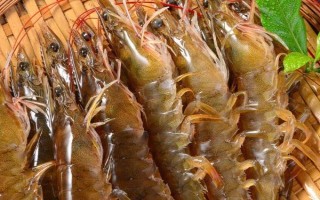 吃虾线的害处，长期食用可能发生铅中毒