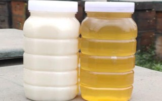 油菜蜜的价格，各地区的售价差异较大