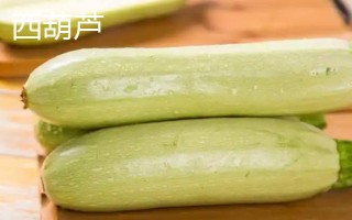 西葫芦和丝瓜有什么区别，科属、形态、吃法均不同